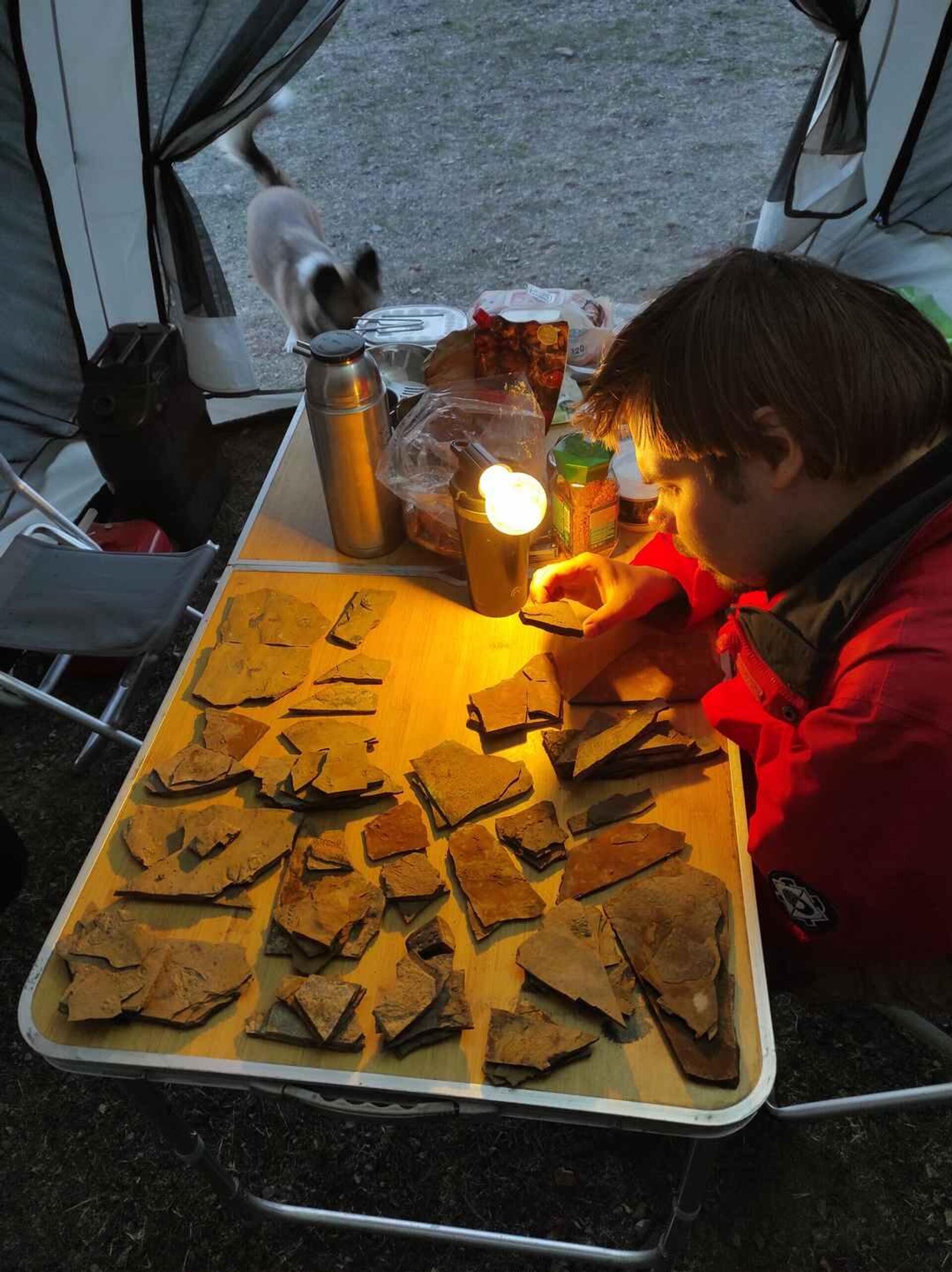 Более сотни скелетов амфибий палеозойской эры нашли ученые близ Алматы Более сотни скелетов амфибий палеозойской эры нашли ученые близ Алматы - Sputnik Казахстан, 1920, 24.10.2025