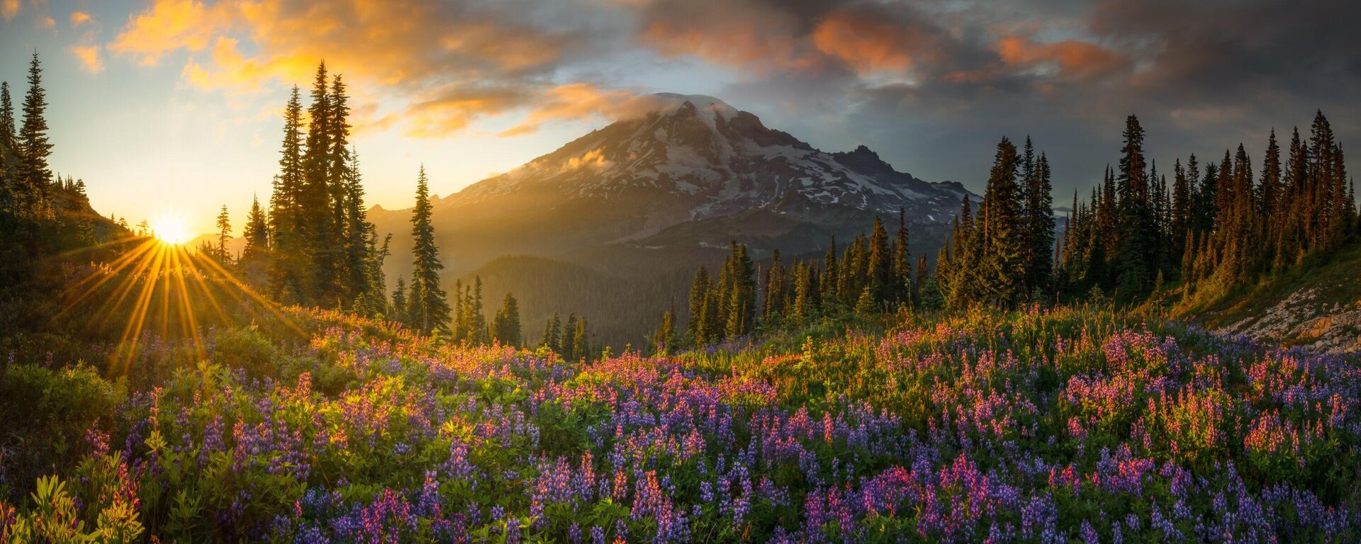 Снимок ELYSIUM фотографа Chris Byrne, получивший приз Curator's Award конкурса 16th EPSON International Pano Awards  - Sputnik Қазақстан, 1920, 30.10.2025