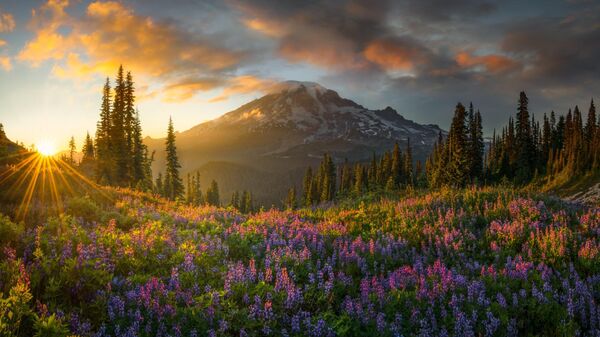 Снимок ELYSIUM фотографа Chris Byrne, получивший приз Curator's Award конкурса 16th EPSON International Pano Awards  - Sputnik Қазақстан