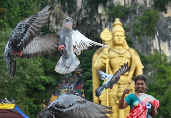 Туристы кормят птиц у пещер Бату в Куала-Лумпуре. На втором плане – статуя бога Муругана, Малайзия  - Sputnik Казахстан