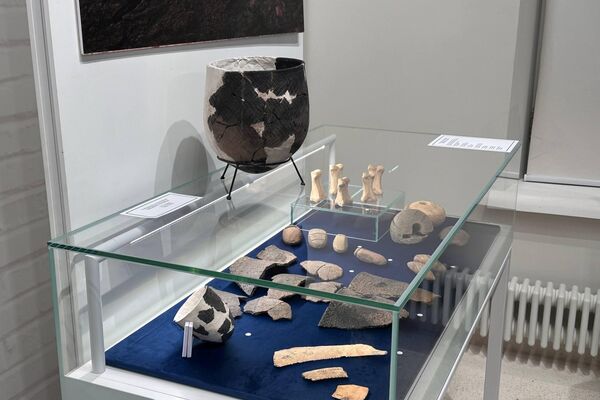 Дни культуры Северо-Казахстанской области в Татарстане  - Sputnik Казахстан