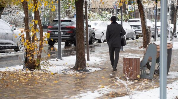В Алматы выпал первый снег - Sputnik Казахстан