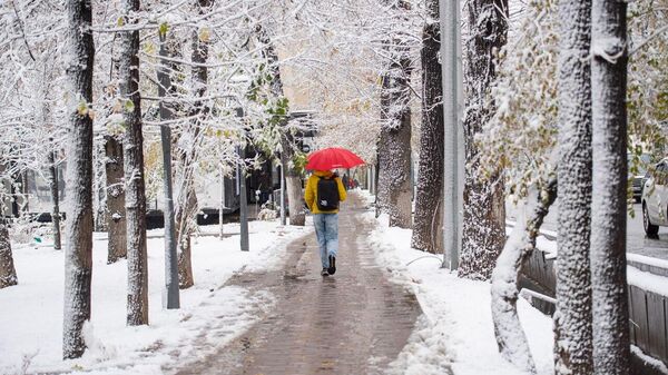 В Алматы выпал первый снег - Sputnik Казахстан