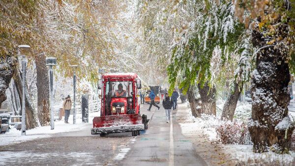 В Алматы выпал первый снег - Sputnik Казахстан