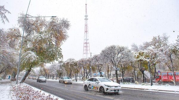 В Алматы выпал первый снег - Sputnik Қазақстан
