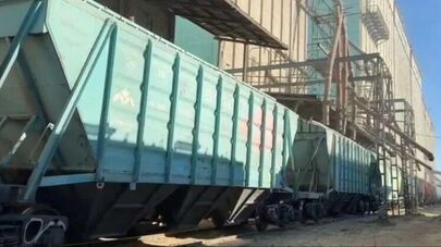 Пшеница из Казахстана доставлена в Азербайджан