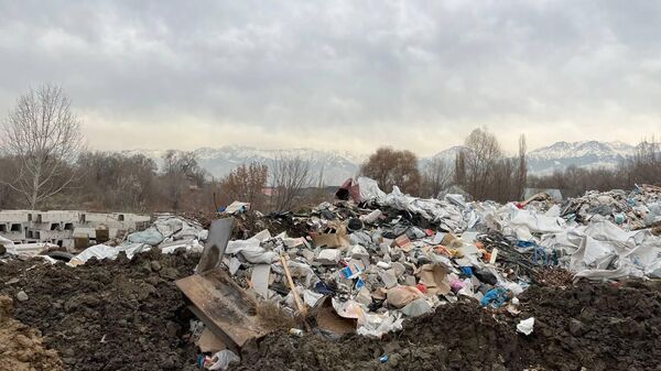 Алматы облысында жол жасаушылар ауылды қоқыс полигонына айналдырды  - Sputnik Қазақстан