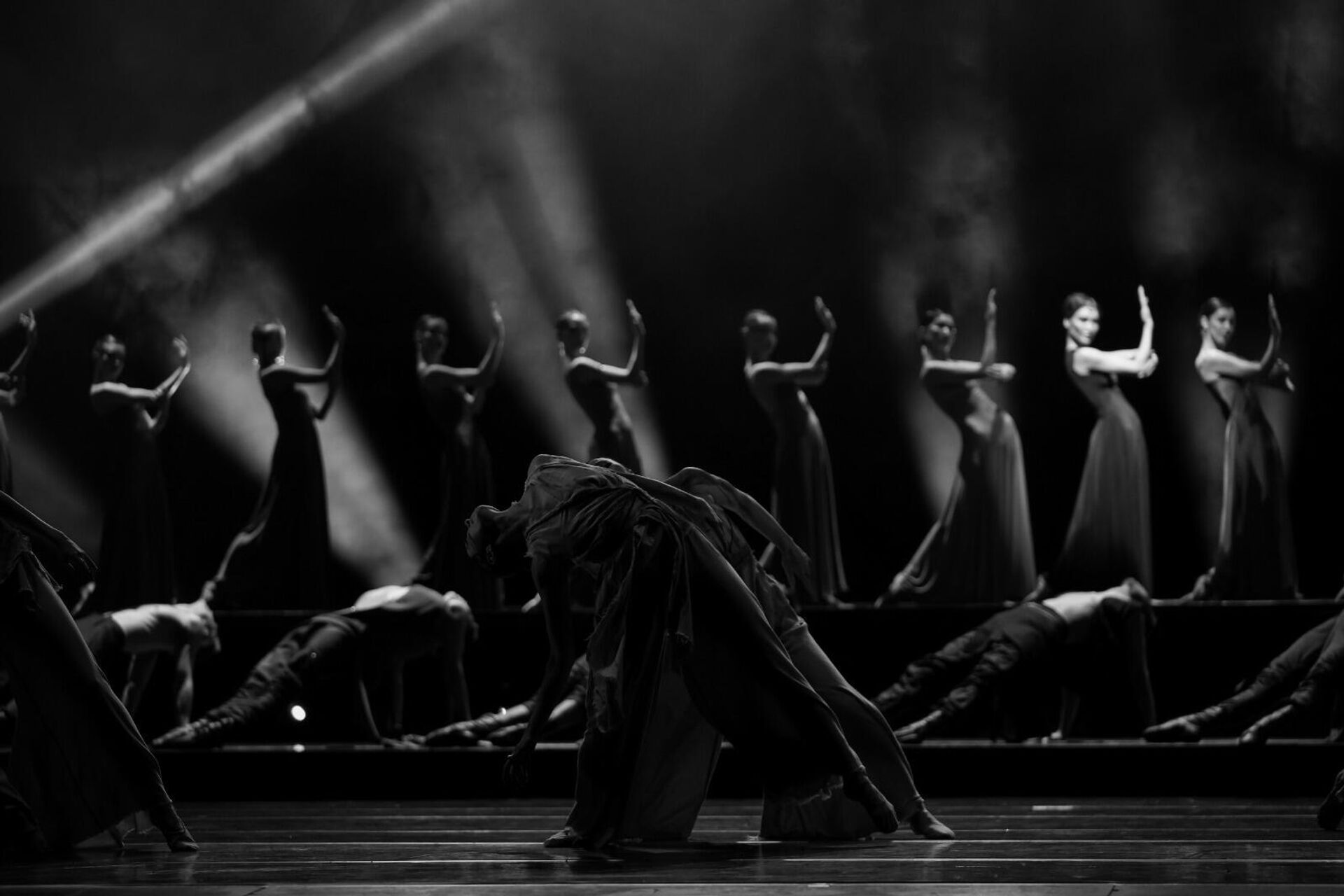 Спектакли Ma Carmen и Саломея представят на сцене Astana Ballet Спектакли Ma Carmen и Саломея представят на сцене Astana Ballet - Sputnik Казахстан, 1920, 17.11.2025