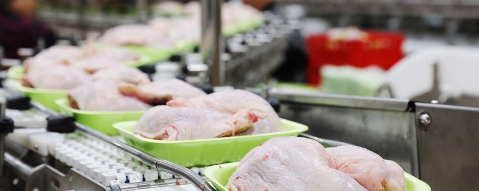 Құс етін өңдейтін зауыт іске қосылды - Sputnik Қазақстан, 1920, 20.11.2025