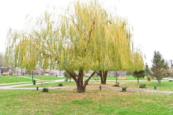 Оралға саяхат - Sputnik Қазақстан