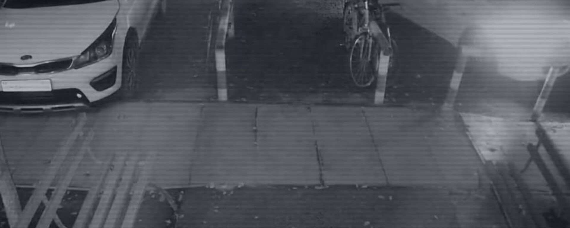 Яна Легкодимованы өлтірген сәттің видеосы жарияланды - Sputnik Қазақстан, 1920, 24.11.2025