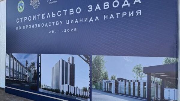 В Жамбылской области началось строительство химзавода по производству цианида натрия - Sputnik Казахстан