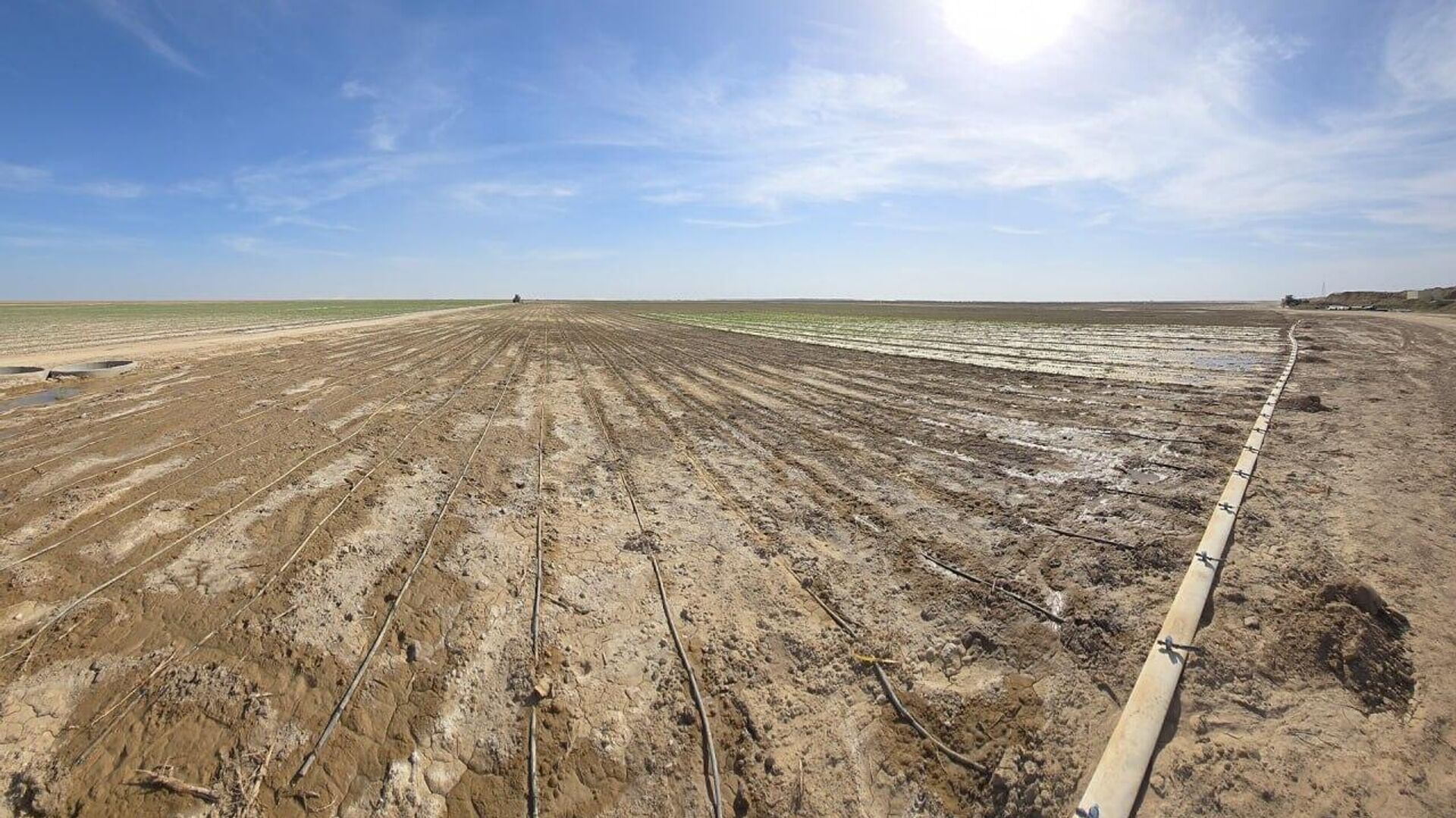 Туркестанский хлопковый агропромышленный комплекс - Sputnik Қазақстан, 1920, 02.12.2025