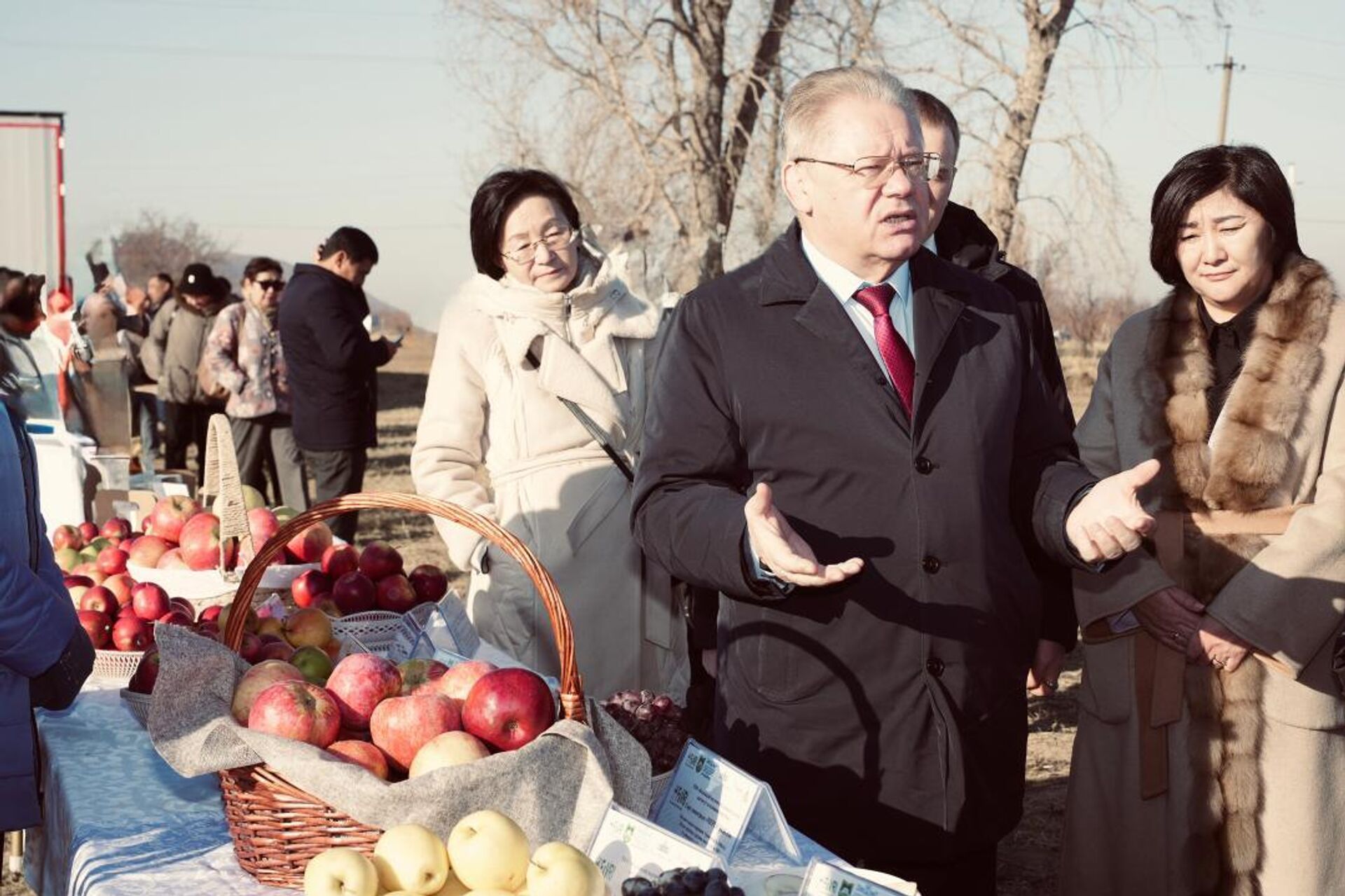 Казахстан и Россия реализуют совместный проект по развитию интенсивного садоводства - Sputnik Казахстан, 1920, 03.12.2025