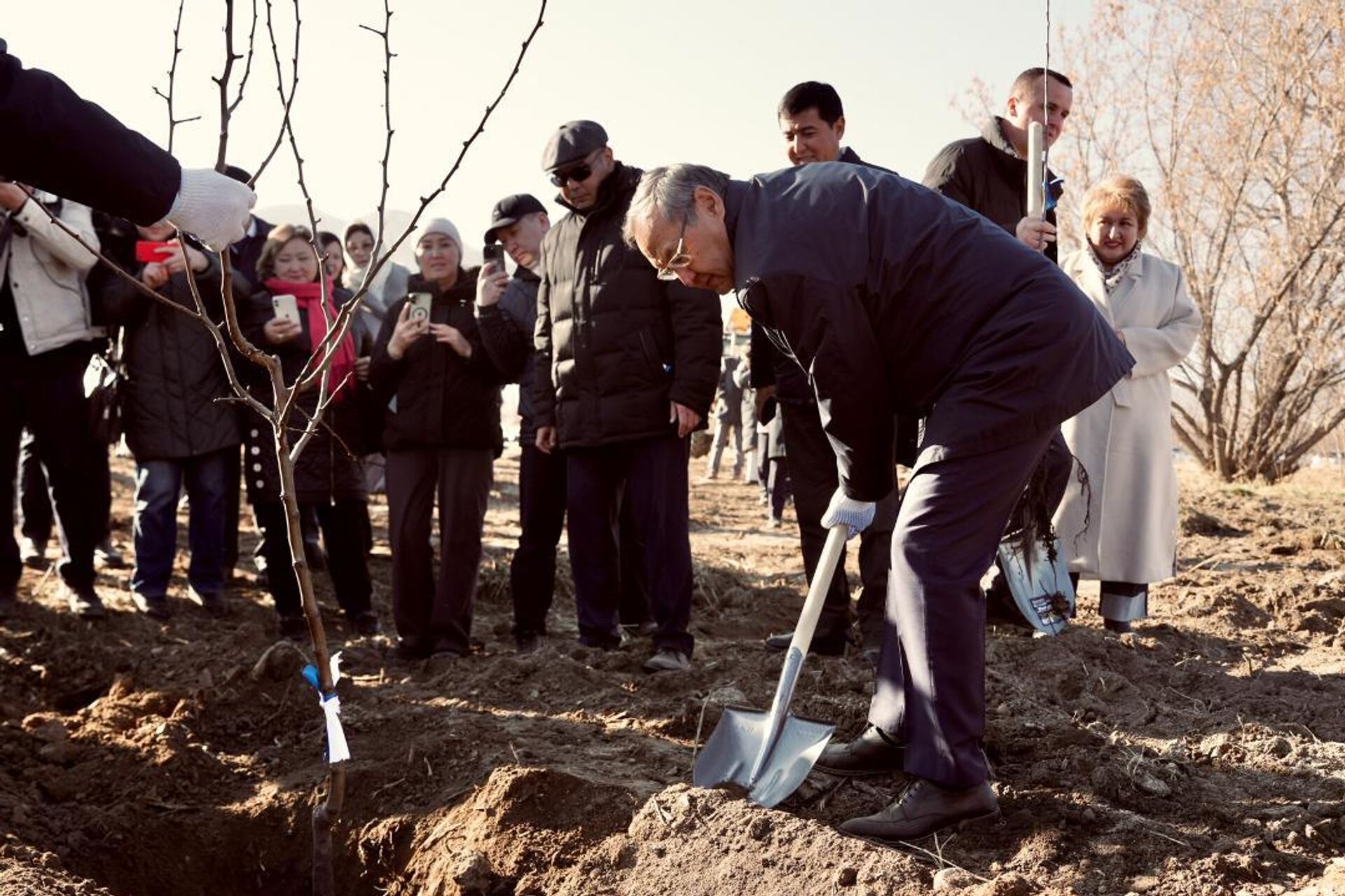 Казахстан и Россия реализуют совместный проект по развитию интенсивного садоводства - Sputnik Казахстан, 1920, 03.12.2025