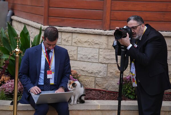 Журналисты и кошка на совместной церемонии благословения христианских конфессий в соборе Святого Георгия в Стамбуле, Турция. - Sputnik Казахстан