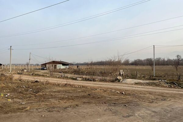 Қарасай ауданындағы саяжайдың мәселесі келесі жылы шешілуі мүмкін - Sputnik Қазақстан