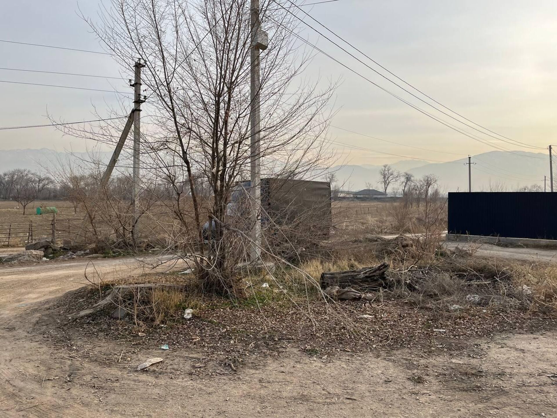 Қарасай ауданындағы саяжайдың мәселесі келесі жылы шешілуі мүмкін - Sputnik Қазақстан, 1920, 07.12.2025