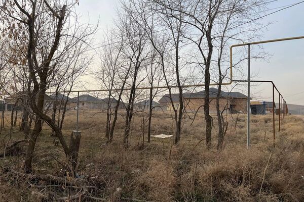 Қарасай ауданындағы саяжайдың мәселесі келесі жылы шешілуі мүмкін - Sputnik Қазақстан