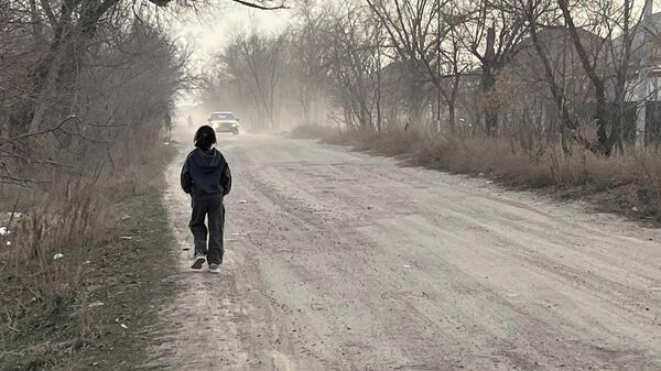 Қарасай ауданындағы саяжайдың мәселесі келесі жылы шешілуі мүмкін - Sputnik Қазақстан
