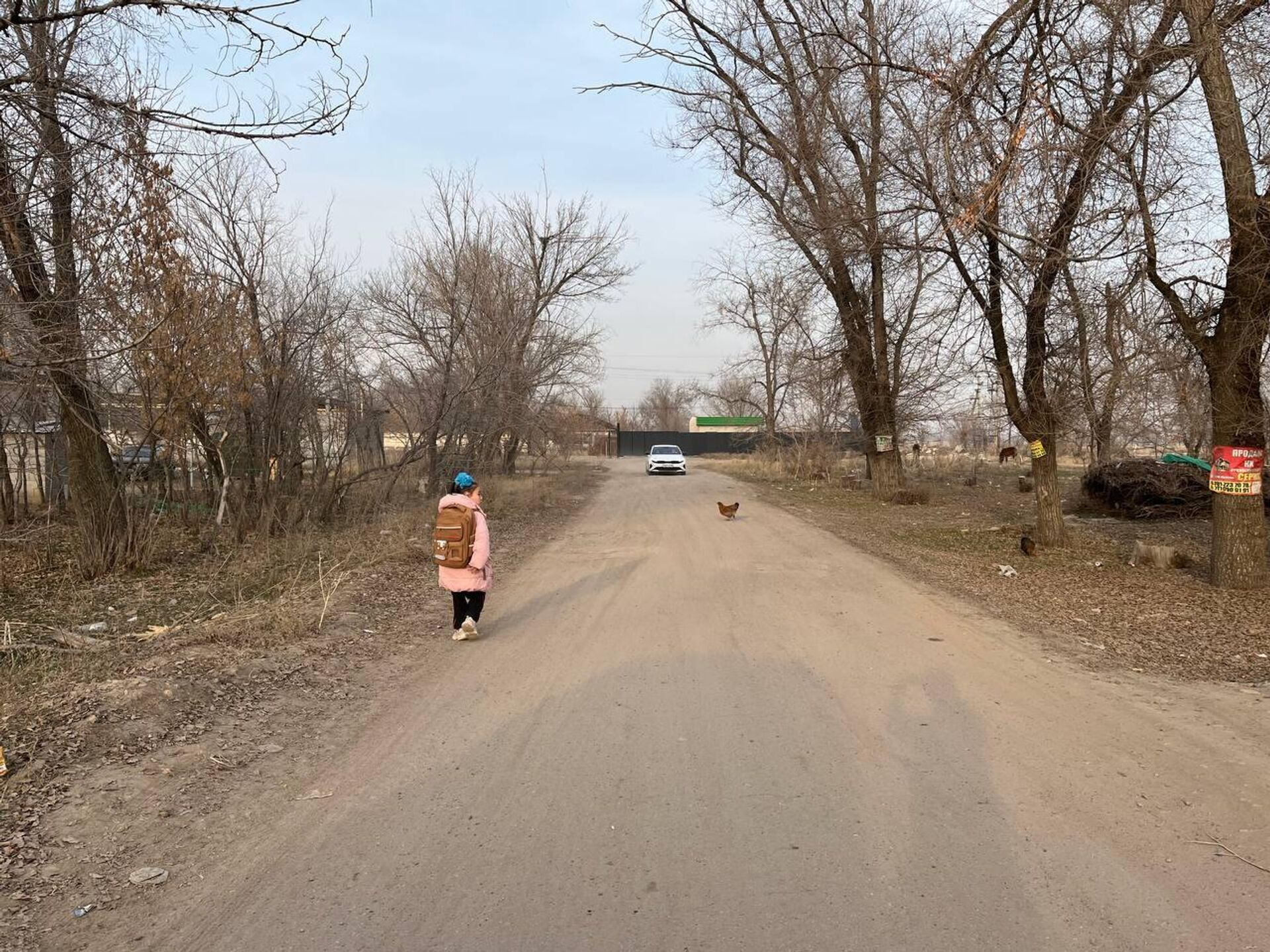 Қарасай ауданындағы саяжайдың мәселесі келесі жылы шешілуі мүмкін - Sputnik Қазақстан, 1920, 07.12.2025