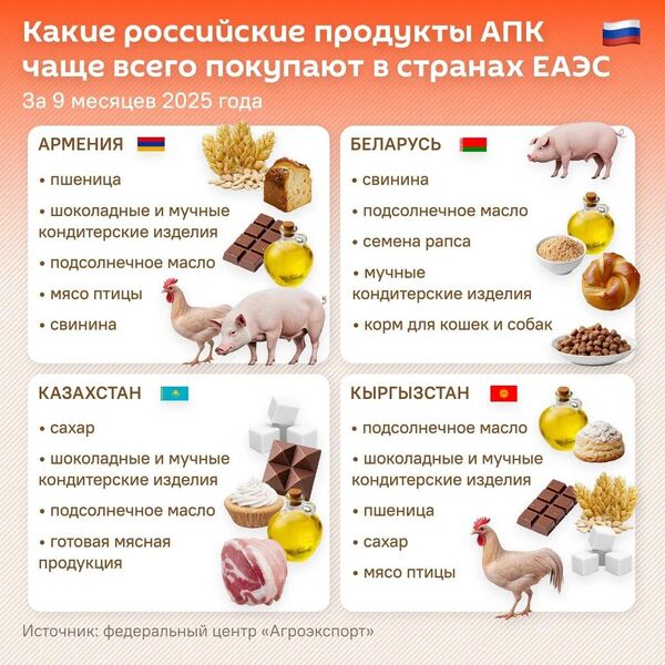 Какие продукты российского агропрома чаще покупают в странах ЕАЭС? - Sputnik Казахстан