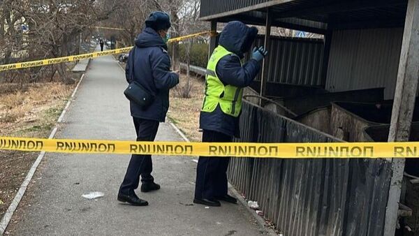 Түркістан облысында қоқыс жәшігінен жаңа туған нәрестенің мәйіті табылды - Sputnik Қазақстан