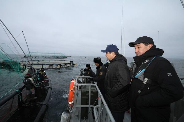 В Мангистау реализуется первый в Центральной Азии проект морской аквакультуры
В Мангистау реализуется первый в Центральной Азии проект морской аквакультуры
- Sputnik Казахстан