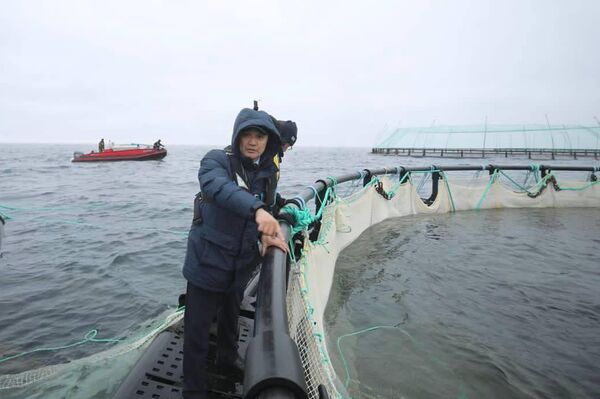 В Мангистау реализуется первый в Центральной Азии проект морской аквакультуры
В Мангистау реализуется первый в Центральной Азии проект морской аквакультуры
- Sputnik Казахстан