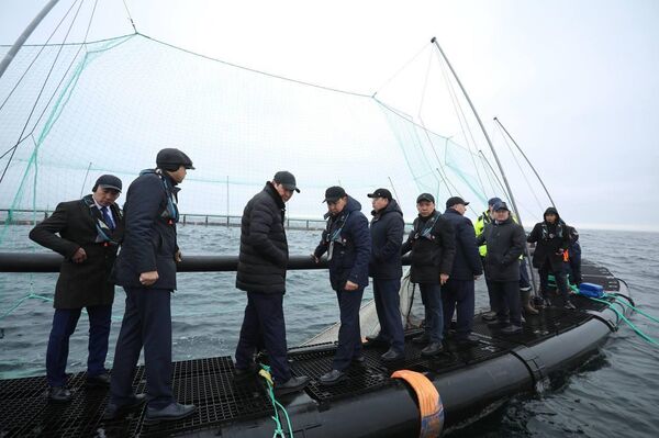В Мангистау реализуется первый в Центральной Азии проект морской аквакультуры
В Мангистау реализуется первый в Центральной Азии проект морской аквакультуры
- Sputnik Казахстан