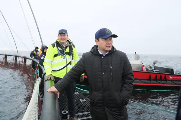 В Мангистау реализуется первый в Центральной Азии проект морской аквакультуры
В Мангистау реализуется первый в Центральной Азии проект морской аквакультуры
- Sputnik Казахстан