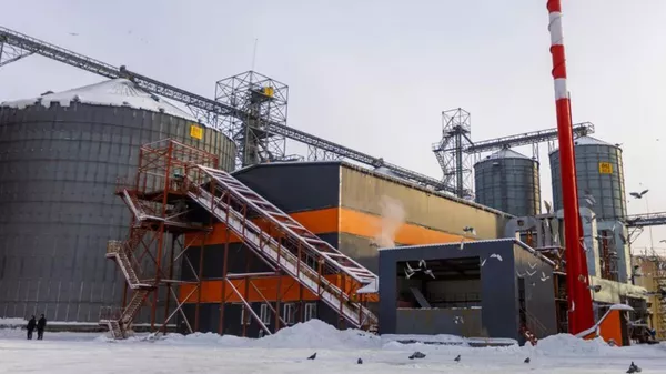 Маслоэкстракционный завод ALTAI MAI открыли в Восточно-Казахстанской области - Sputnik Казахстан