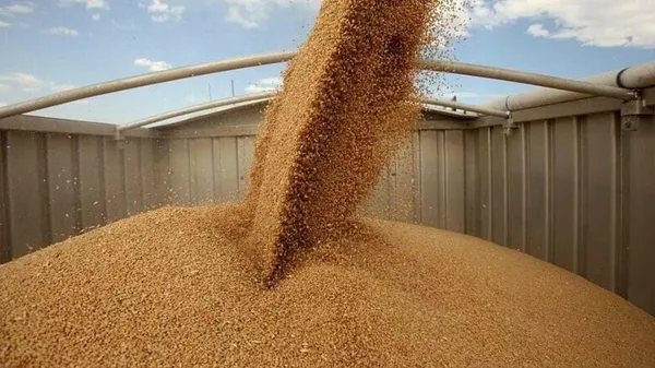 Экспортерам зерна из Казахстана пообещали субсидии в начале 2026 года за ранние поставки