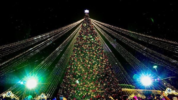 Новогодняя елка  - Sputnik Казахстан