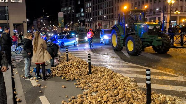 В Брюсселе прошла акция протеста фермеров - Sputnik Казахстан