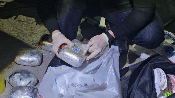 Пограничная служба КНБ пресекла наркоканал в Жамбылской области  - Sputnik Казахстан