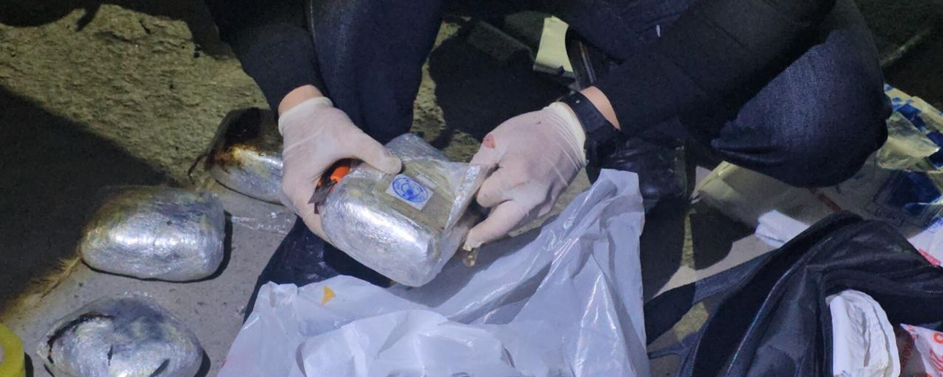 Пограничная служба КНБ пресекла наркоканал в Жамбылской области  - Sputnik Казахстан, 1920, 03.03.2026