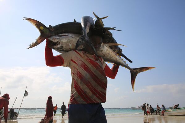 Рыбак выгружает свежие морепродукты на берег, Сомали. - Sputnik Казахстан