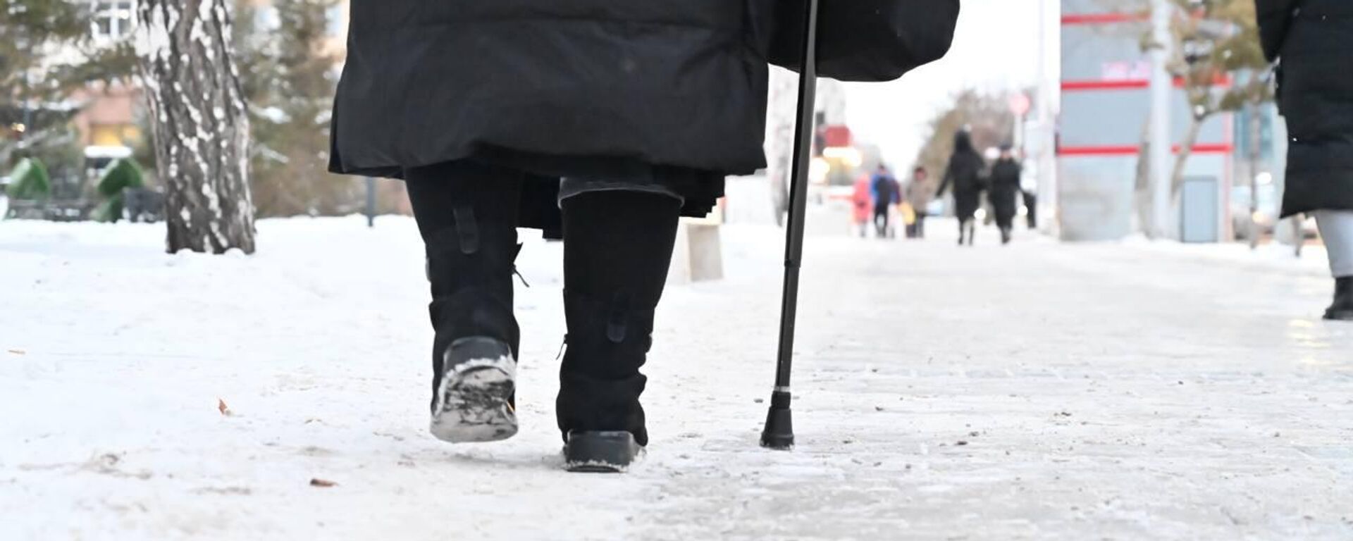 Виды Астаны - Sputnik Қазақстан, 1920, 06.01.2026