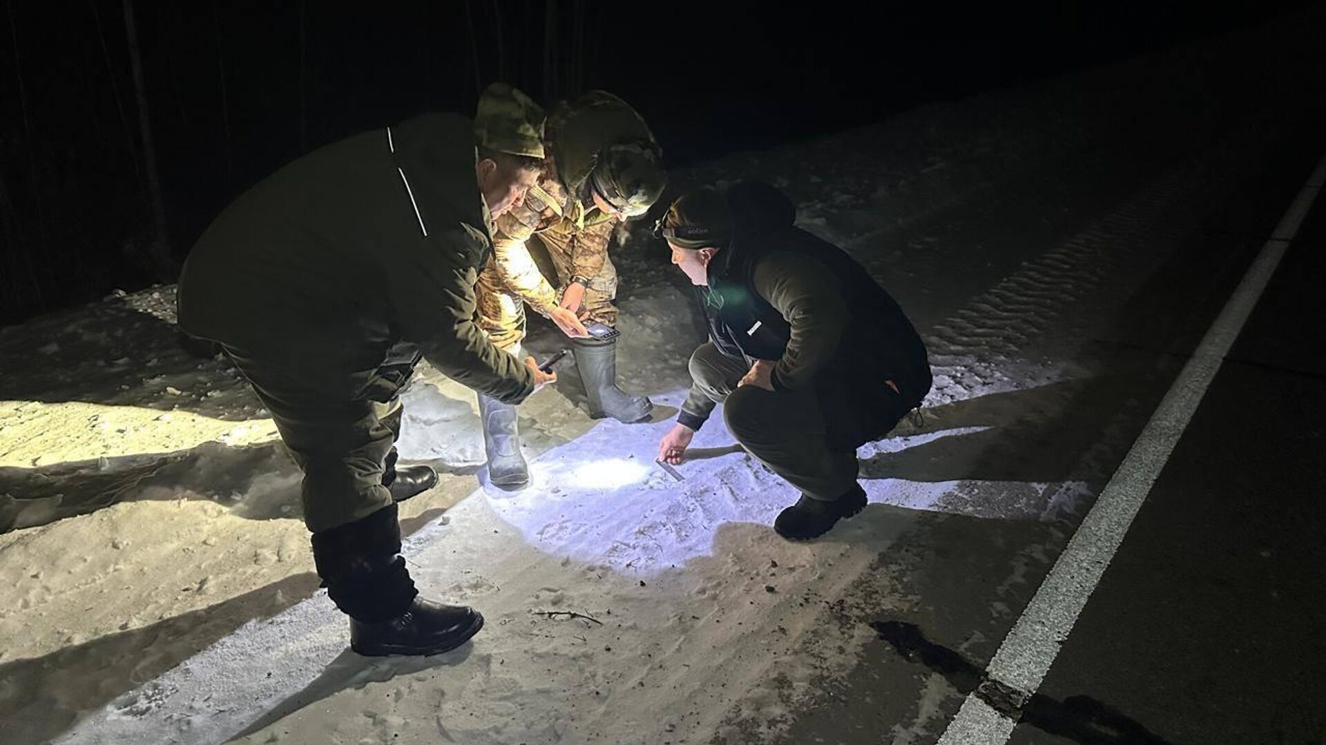 Пять специалистов из Казахстана прошли обучение в Хабаровском крае в рамках реализации проекта по интродукции амурского тигра в республику Пять специалистов из Казахстана прошли обучение в Хабаровском крае в рамках реализации проекта по интродукции амурского тигра в республику - Sputnik Казахстан, 1920, 24.12.2025
