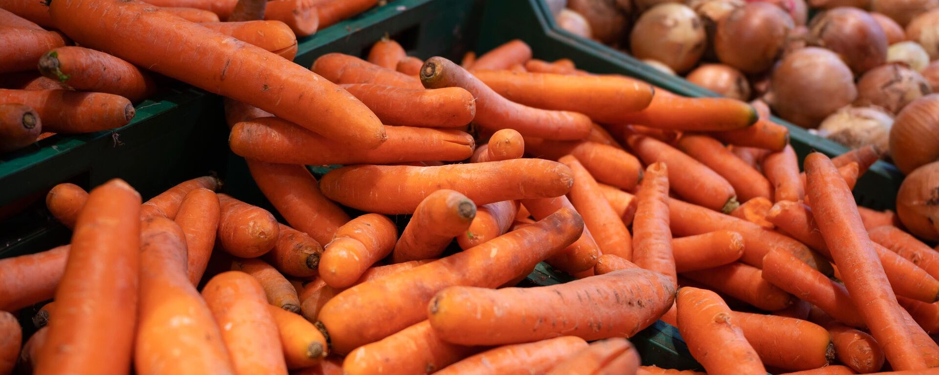 Продажа моркови в одном из магазинов - Sputnik Казахстан, 1920, 25.12.2025