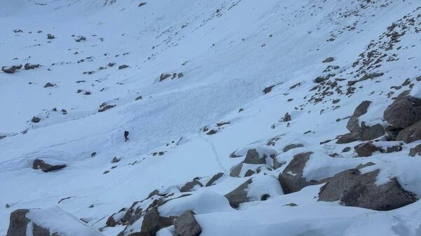 Поиск пропавших в горах Алматы вели сотрудники МЧС - Sputnik Қазақстан