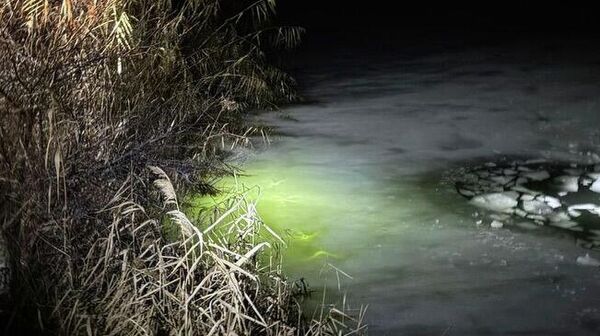 Алматы облысында 4 жасөспірім мұз астына түсіп кетті - Sputnik Қазақстан