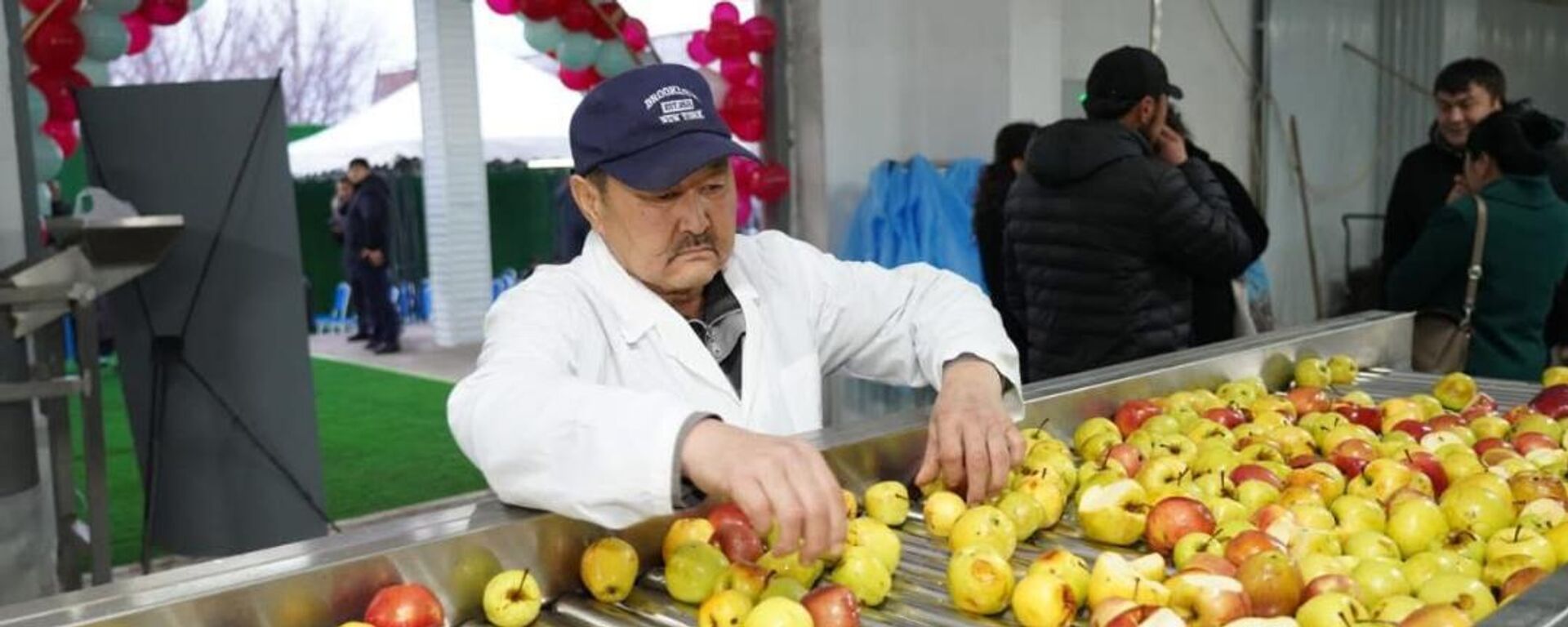 Түркістан облысында 5 мың тонна алма өңдейтін зауыт іске қосылды - Sputnik Қазақстан, 1920, 03.01.2026
