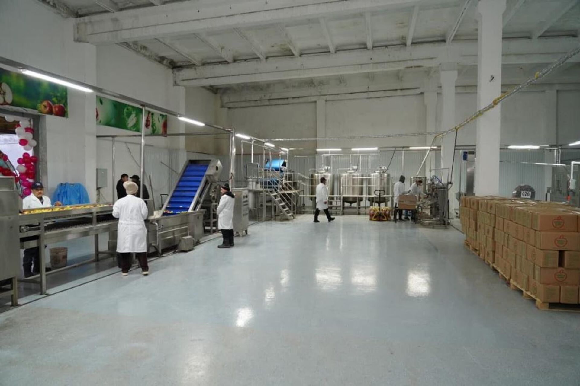 Түркістан облысында 5 мың тонна алма өңдейтін зауыт іске қосылды - Sputnik Қазақстан, 1920, 03.01.2026