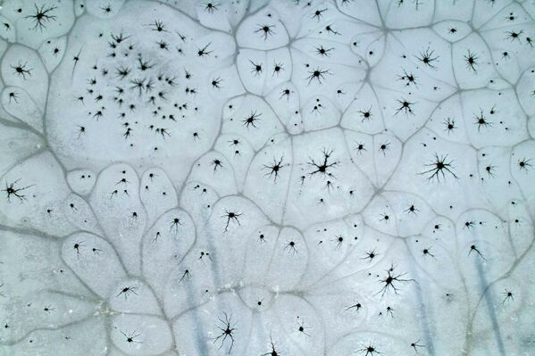 Қытайдың Шаньси провинциясының Тайюань қаласындағы Фэньхэ саябағында мұз боп қатқан өзенде "мұзды гүлдер" бүршік жарып жатыр. - Sputnik Қазақстан