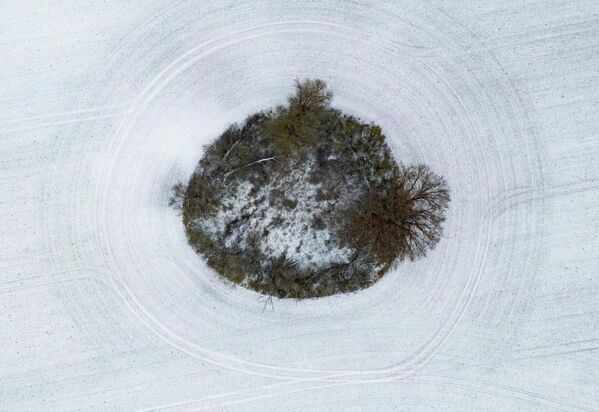 Германияның шығысындағы Бранденбургтегі егістіктегі таңертеңгі қар. - Sputnik Қазақстан