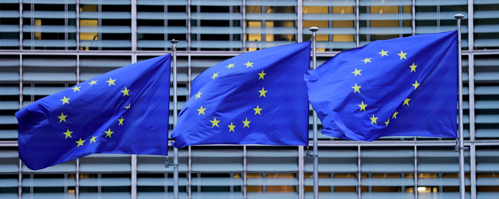 Флаги Евросоюза  - Sputnik Казахстан, 1920, 06.01.2026