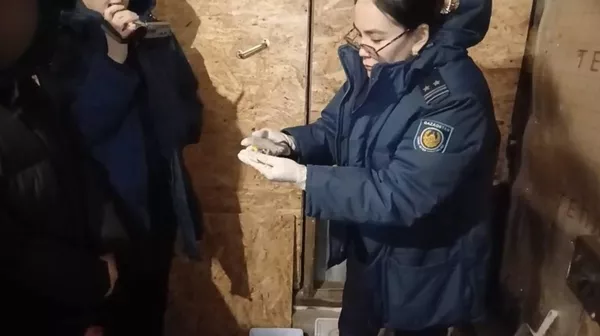 280 свертков с мефедроном изъяли у наркозакладчицы в Щучинске - Sputnik Казахстан