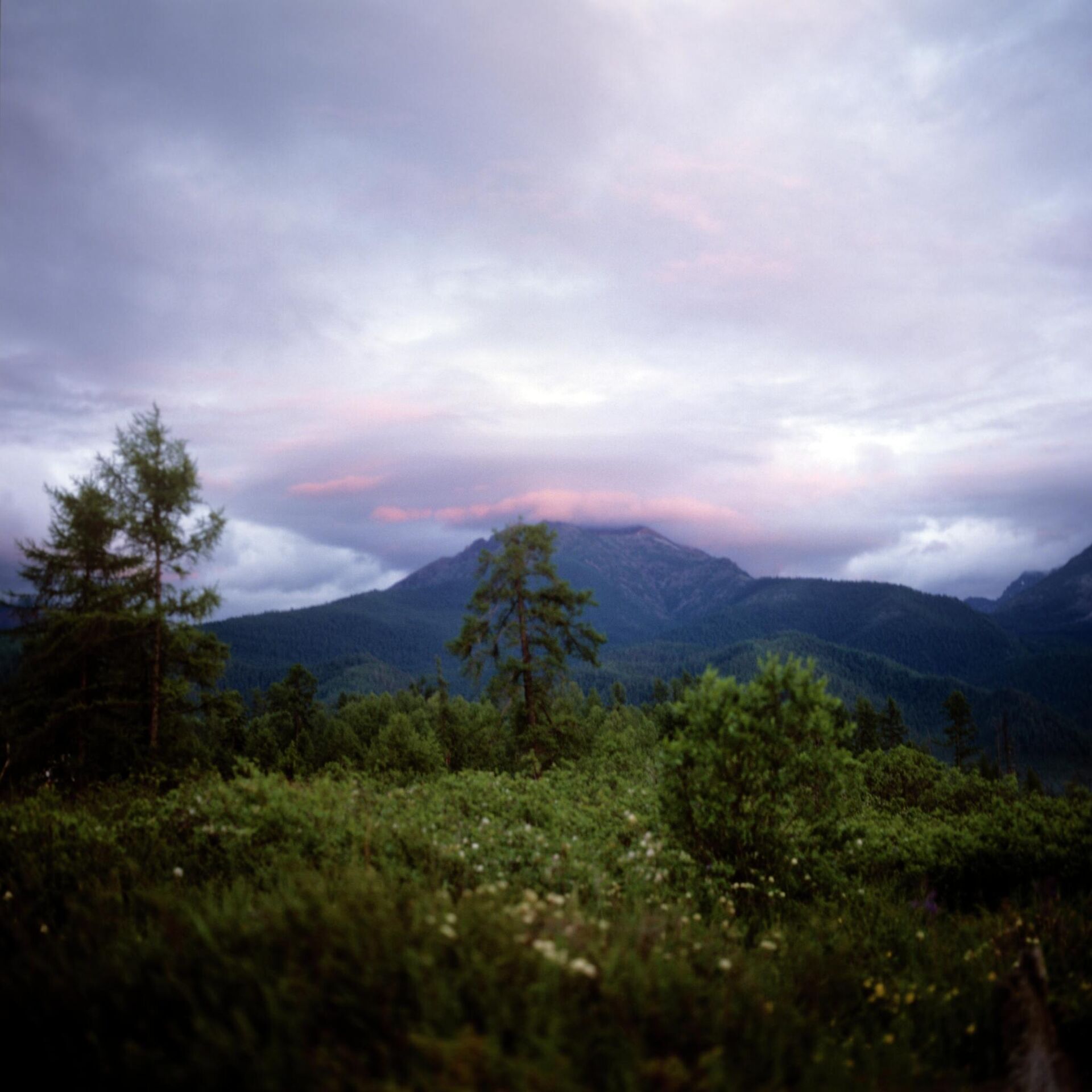 Баргузинский заповедник в Забайкалье - Sputnik Казахстан, 1920, 10.01.2026